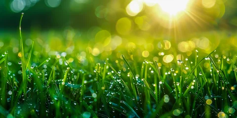 Wandcirkels tuinposter Sunrise Dew on Lush Green Grass © smth.design