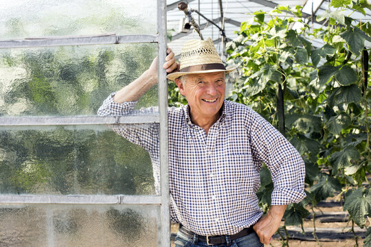 Portrait alter Mann lehnt stolz und gl&uuml;cklich im Gew&auml;chshaus in einer G&auml;rtnerei, M&uuml;nchen, Deutschland
