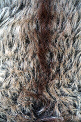 Closeup of soft furry texture