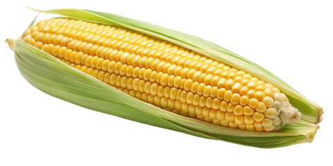A yellow corn isolated on Transparent background.