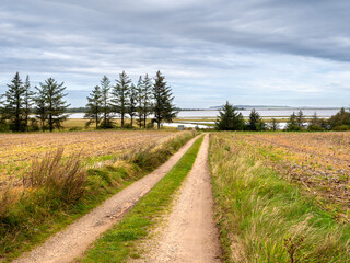 Field road through farmland to Engelstor Odde and Faerker Vig Bay on Fur island, Midtjylland, Denmark