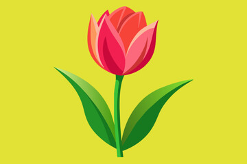 tulip illutration