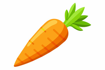 carrot vector illustration 
