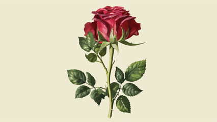Vector Rose Illustration: Sleek Flat Design with Timeless Elegance and Modern Appeal