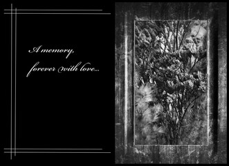 Condolences with a photo frame with cemetery flowers. Black and white condolence card, announcement, invitation, card can be folded. Place for your expression text, signature.