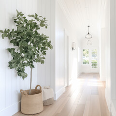 photo of hanging plant in a hallway or entryway with shiplap walls, sunlit doorway