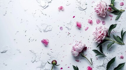 broken peonies against a white background, offering plenty of empty space for text, evoking a sense of delicate elegance and artistic expression.