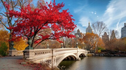 Vibrant fall scene: majestic red tree by bow bridge, central park, nyc