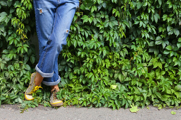 Model in denim pants. Legs. Sport shoes. near a wall overgrown with climbing plants. Background with plant leaves.