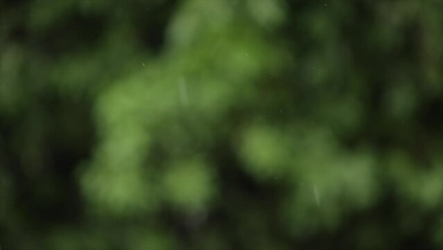 ripresa video, con visuale macro della pioggia che cade dal cielo durante un temporale, con sfondo sfuocato con sfumature di verde