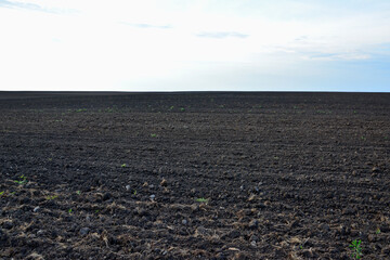 plowed field with horizon line copy space in the sunset  