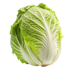 Fototapeta premium Fresh tasty Chinese cabbage isolated on Transparent background.