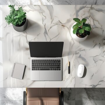 An open silver laptop on a desk with a green plant beside a cup of coffee suggests a business-oriented workspace