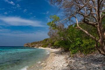 Swimming off Boka Hulu the caribbean island of Curacao