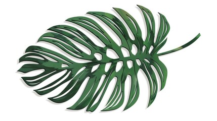 Tropical green palm leaf concept cut out