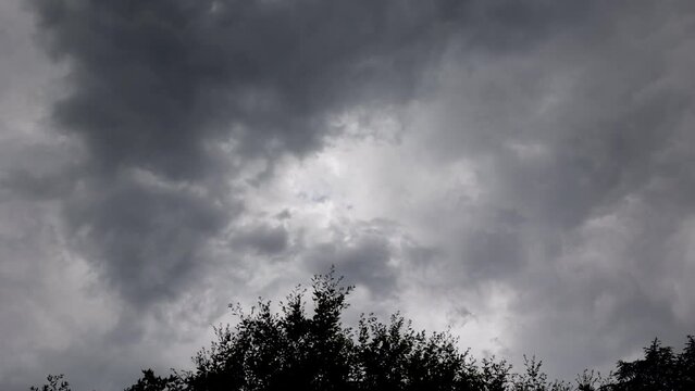 breve ripresa video timelapse che mostra l'evoluzione di scure nuvole temporalesche e dai colori grigi, nel cielo, di pomeriggio, visto da sotto un albero
