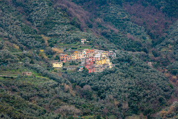 Fototapeta na wymiar Typical colored houses of the Cinque Terre region in Italy