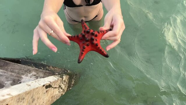 Close up of a vibrant red starfish resting on a persons open hand above tropical water, with sandy beach background symbolizing marine life and eco tourism. High quality 4k footage