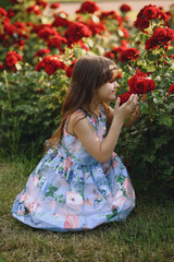 Portrait of little brunette girl in blue dress sniffs the roze flowers in the garden in summer. Face in profile. Children - Flowers Of Life. © Olena Zelena