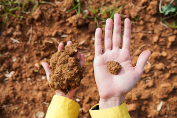 A hand holding a small piece of compost. Organic and ecological vegetables. Earth day