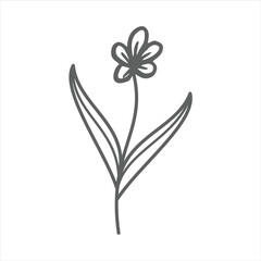Botanical leaf doodle wildflower line art