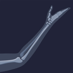 Human bones orthopedic and skeleton icon, bone x-ray image of human joints, anatomy skeleton flat design vector illustration - obrazy, fototapety, plakaty
