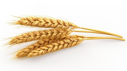 Ears of Golden Wheat Cut Out - 8K Resolution

