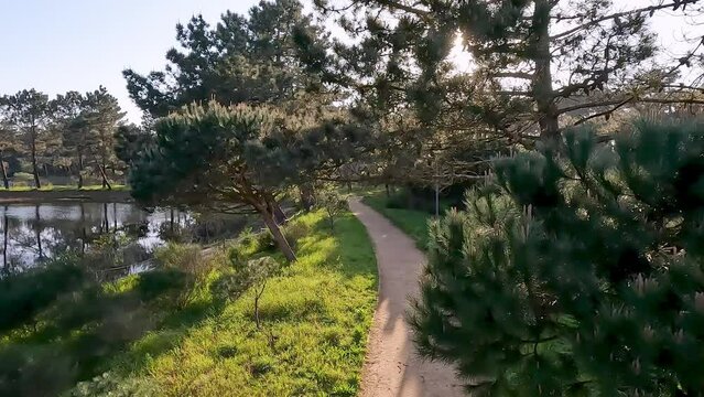 Scenic view of Bucaquinho Natural Park, Ovar, north of Portugal.