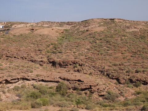 Arico (Tenerife, Canary Islands, Spain)