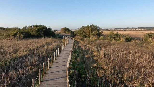 Wooden structure on the footbridges of Barrinha de Esmoriz with water from the Paramos lagoon, Portugal.