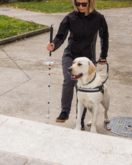 Guide dog helping his owner, a blind or visually impaired woman, to go up the staircase. Low vision people and mobility aid concepts.