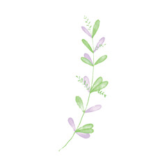Fototapeta na wymiar Botanical leaf doodle wildflower line art