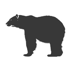 Fototapeta premium Silhouette grizzly bear Animal black color only full body