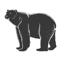 Silhouette grizzly bear Animal black color only full body