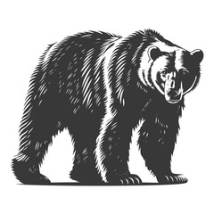 Silhouette grizzly bear Animal black color only full body