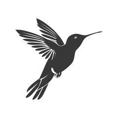 Fototapeta premium Silhouette Hummingbird black color only full body