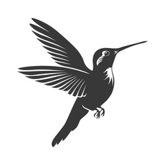 Fototapeta premium Silhouette Hummingbird fly black color only full body