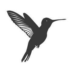 Obraz premium Silhouette Hummingbird fly black color only full body