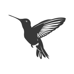 Fototapeta premium Silhouette Hummingbird fly black color only full body