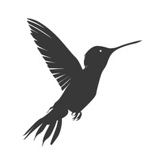 Obraz premium Silhouette Hummingbird fly black color only full body