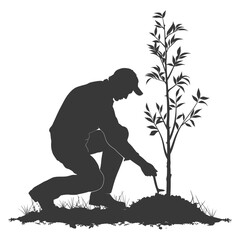 Fototapeta premium Silhouette man planting tree in the ground black color only