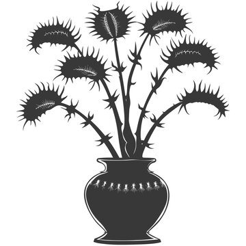 Silhouette Venus flytrap Flower Plant in the vase black color only