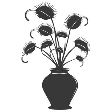 Silhouette Venus flytrap Flower Plant in the vase black color only
