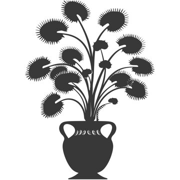 Silhouette Venus flytrap Flower Plant in the vase black color only