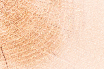 Obraz premium jasne drewno naturalne jako tło do projektu
