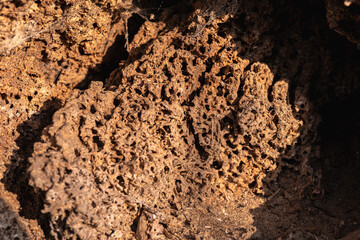 Obraz premium brązowe tło z chropowatego drewna