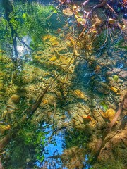 autumn in the forest. Clear stream. 