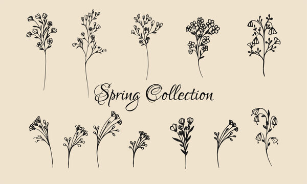 Collection of flowers and branches in vector.
Set of decorative flowers in vector.