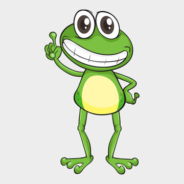 A frog vector image