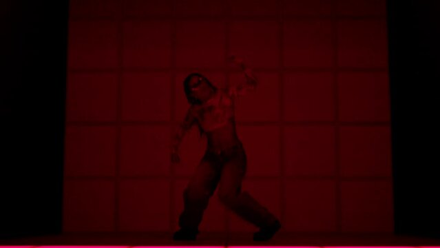 Silhouette of a beautiful girl, Latina and African American, dancing in a neo red room.